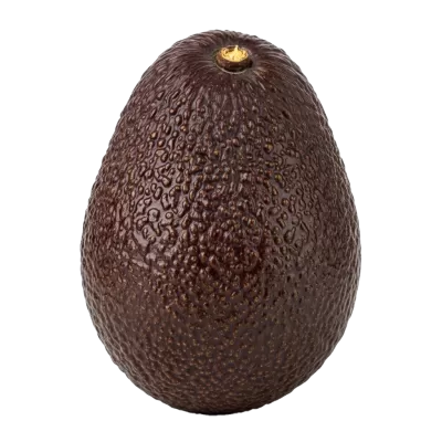 Imagen PNG para descargar